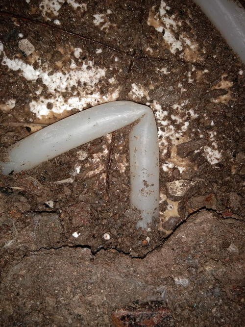 都安堵点精准查找